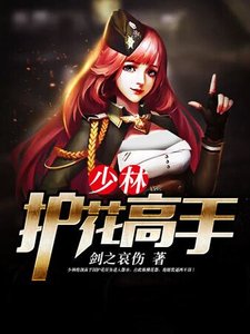 《少林護花高手》