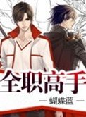全職高手