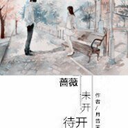 蔷薇 未开待开