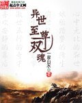 《異世至尊雙魂》