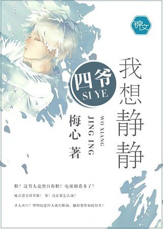 四爷,我想静静