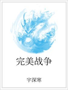 完美戰爭