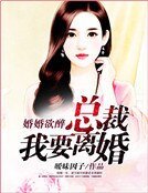婚婚欲醉:總裁我要離婚