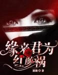 《緣來君為紅顏禍》