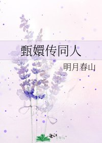 《甄嬛传同人》