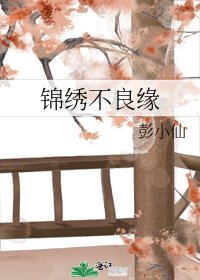 《锦绣不良缘》