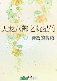 天龍八部之阮星竹