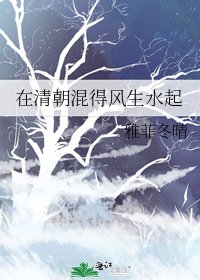 在清朝混得风生水起