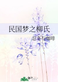 《民国梦之柳氏》