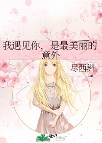 《我遇见你,是最美丽的意外》
