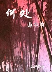 《何處惹塵埃》