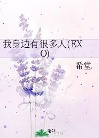 《我身邊有很多人(EXO)》