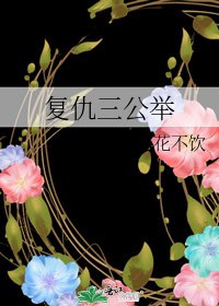 《复仇三公举》
