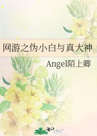 《網遊之偽小白與真大神》