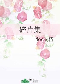 《碎片集》