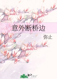 意外斷橋邊