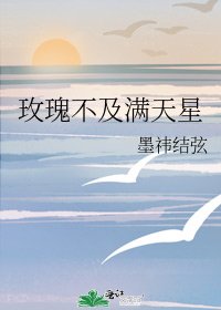 《玫瑰不及满天星》