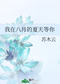 《我在八月的夏天等你》