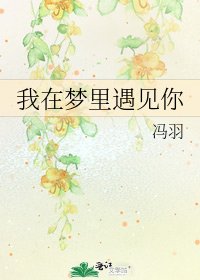 《我在夢裡遇見你》