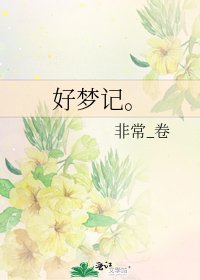 好梦记。