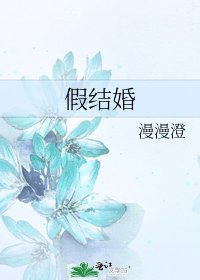 假结婚