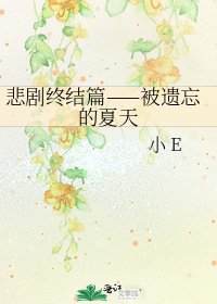 悲剧终结篇——被遗忘的夏天