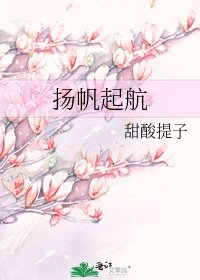 《揚帆起航》