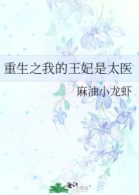 重生之我的王妃是太医