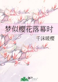 《梦似樱花落幕时》