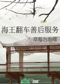 《海王翻车善后服务》