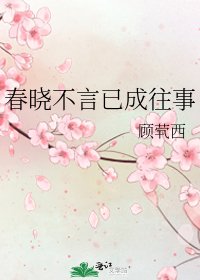 《春曉不言已成往事》