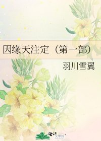 因緣天註定(第一部)