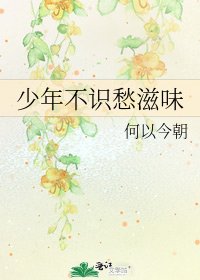 《少年不識愁滋味》