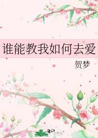 《谁能教我如何去爱》