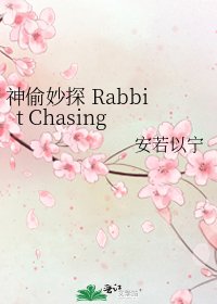 神偷妙探 Rabbit Chasing