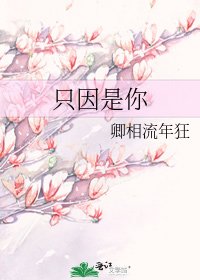 《只因是你》