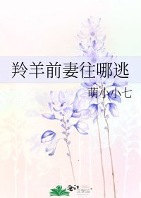 羚羊前妻往哪逃
