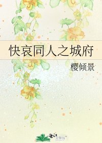 《快哀同人之城府》