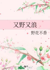 《又野又浪》