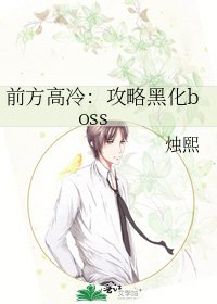 前方高冷:攻略黑化boss