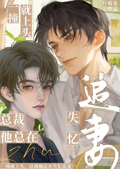 《一撞就上头!总裁他总在失忆追妻》