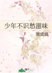 《少年不識愁滋味》