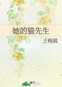 她的猫先生