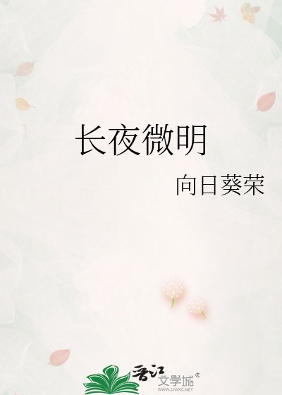 《长夜微明》
