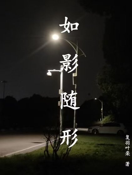 《如影随行》