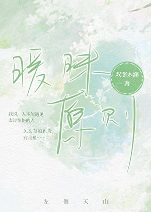 《曖昧原則》