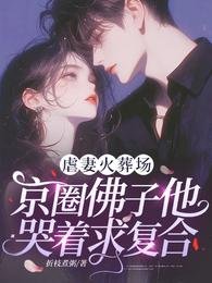 虐妻火葬场,京圈佛子他哭着求复合!