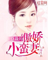 总裁的傲娇小蛮妻
